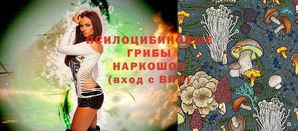 mdpv Пенза