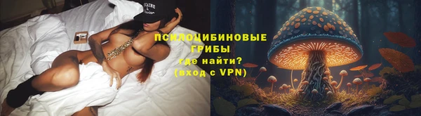 мдпв Осинники