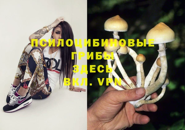 мдпв Осинники