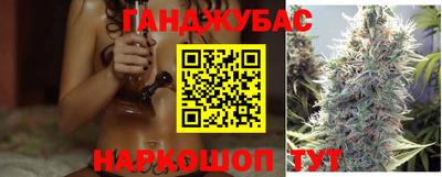 дмт Гатчина