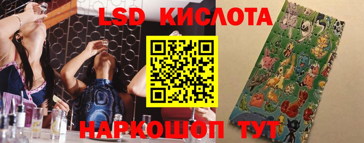 Галлюциногенные грибы Вольск