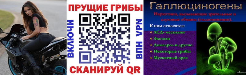 kraken вход  Вольск  Галлюциногенные грибы ЛСД 
