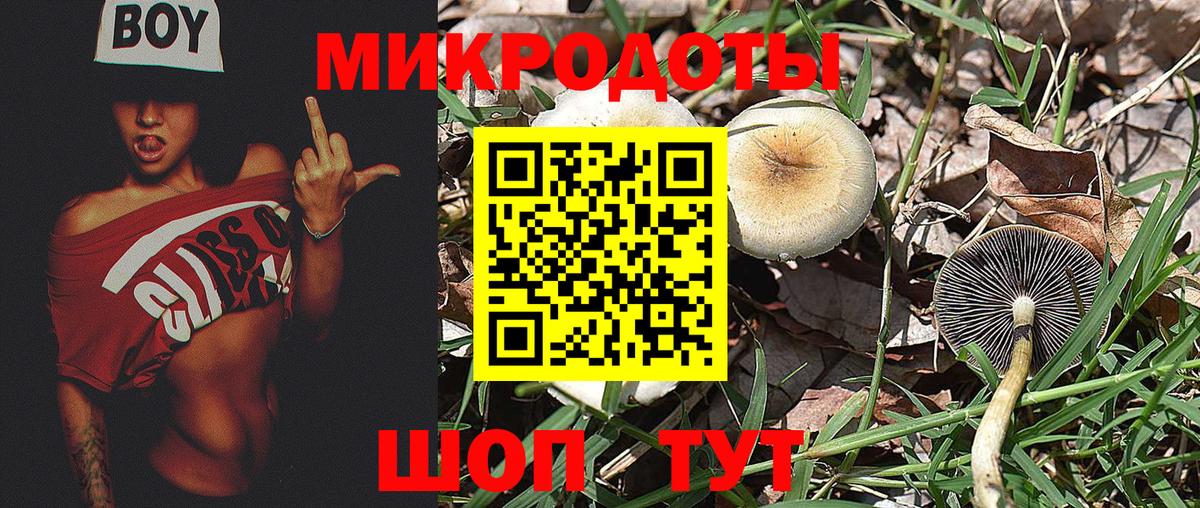 Псилоцибиновые грибы мухоморы  Вход с VPN  Вольск  Галлюциногенные грибы Magic Shrooms 