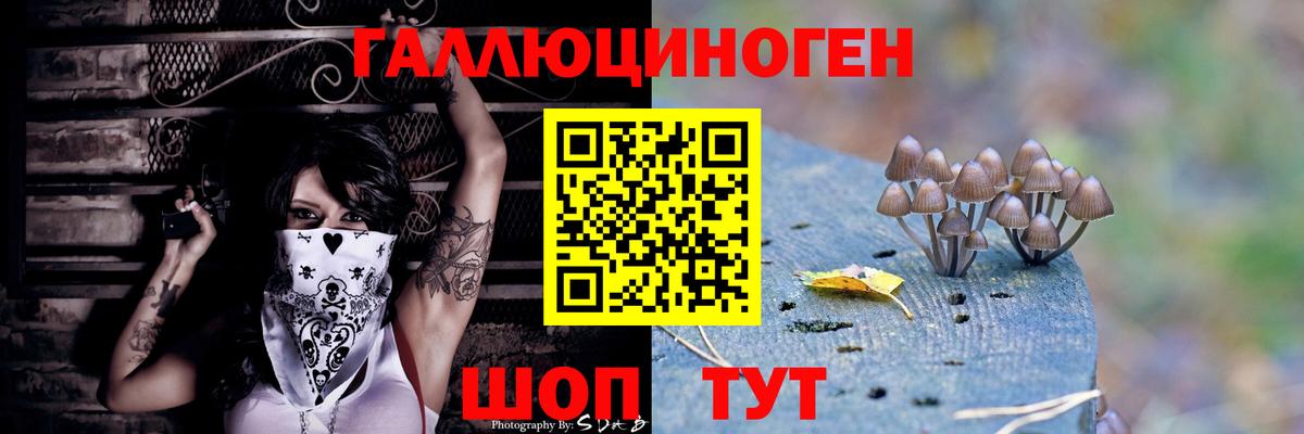 Галлюциногенные грибы мухоморы  Галлюциногенные грибы мицелий  Вольск 